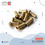 مغزی بوتان