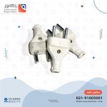 دوشاخه نری معمولی